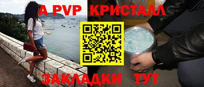 спиды Владимир
