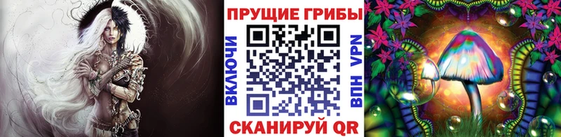 Купить где  Апшеронск  Псилоцибиновые грибы GOLDEN TEACHER 