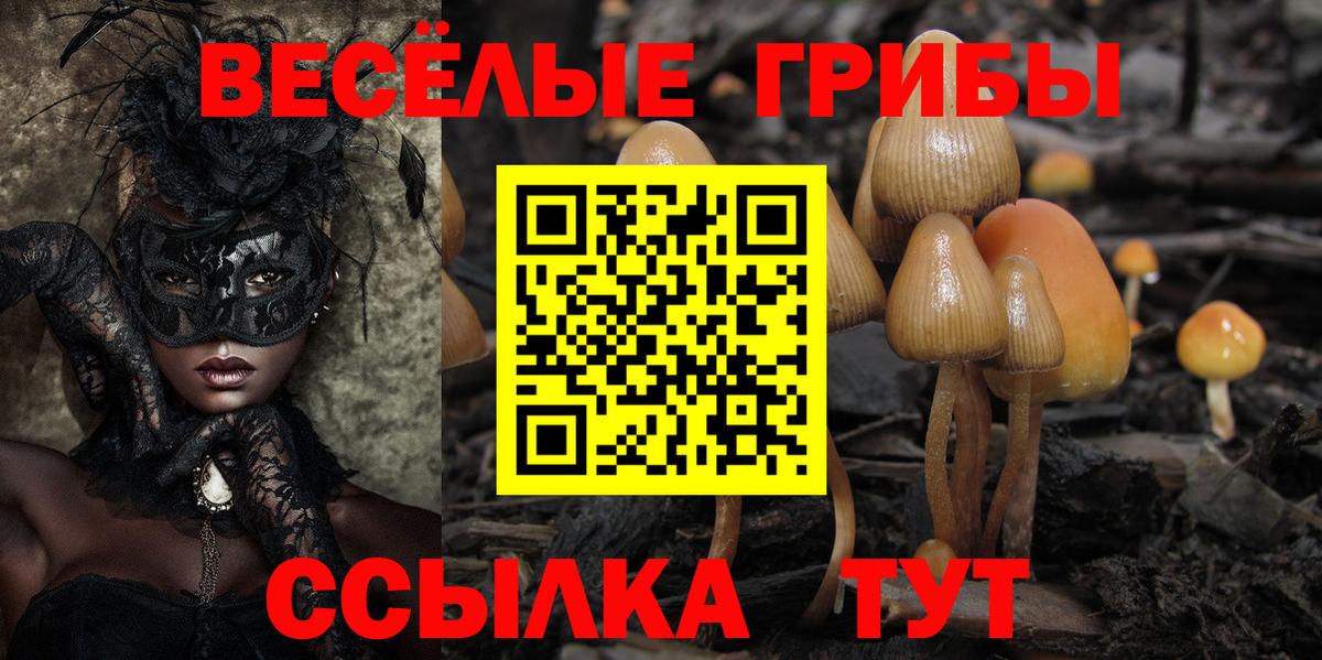 Галлюциногенные грибы MAGIC MUSHROOMS  Вход с VPN  Апшеронск 
