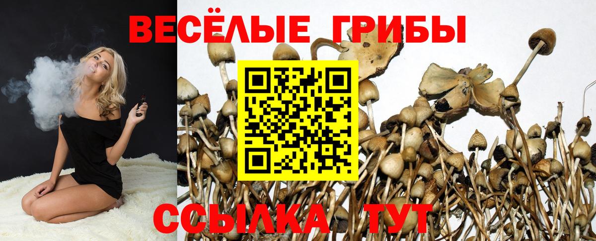 Псилоцибиновые грибы Magic Shrooms  Апшеронск 