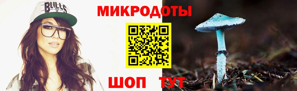 Псилоцибиновые грибы Cubensis Апшеронск